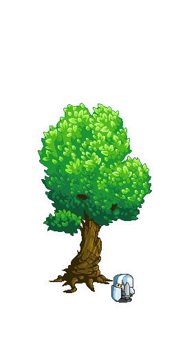 Round Tree Round Tree